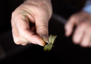 Thumbnail for the post titled: Szósta zmiana: Mucha nie siada, czyli o miłości do wędkowania