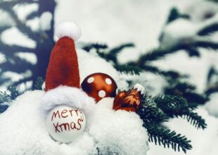 Thumbnail for the post titled: Wesołych świąt i szczęśliwego nowego roku!